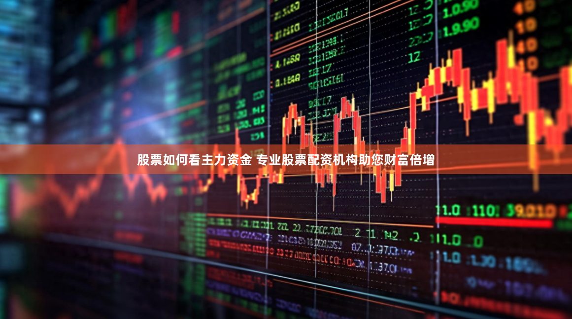 股票如何看主力资金 专业股票配资机构助您财富倍增